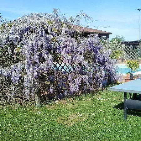 Little Star Pioppa Appartamento *