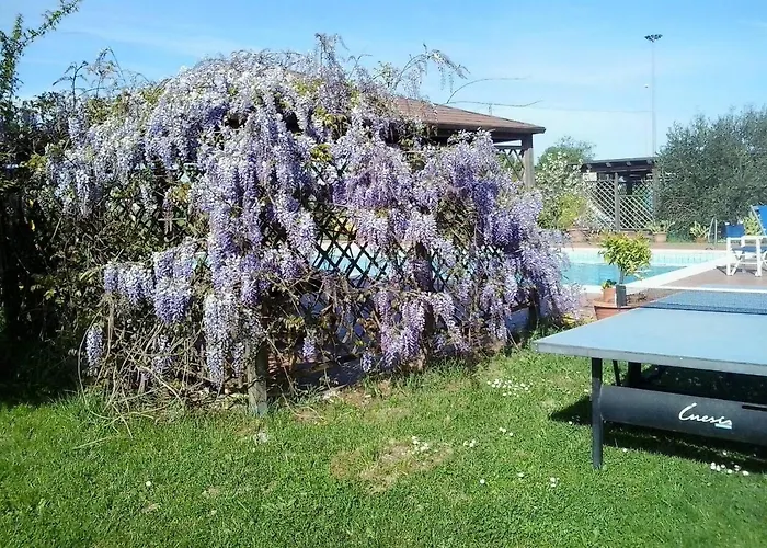 Little Star Pioppa Appartamento *