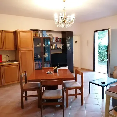 Little Star Pioppa Riondi